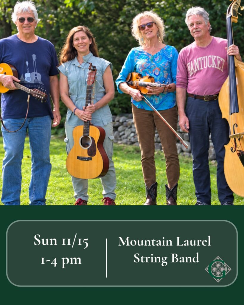 Mountain Laurel String Band